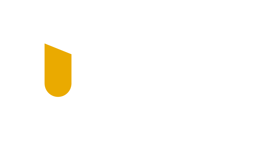 logo UIDE